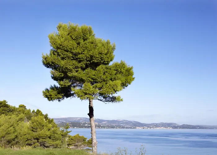 Thalassa Boutique - Adults Only Hotel Argostoli (Kefalonia)